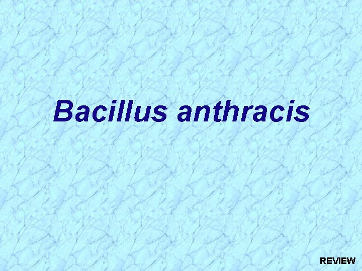 Bacillus anthracis REVIEW 