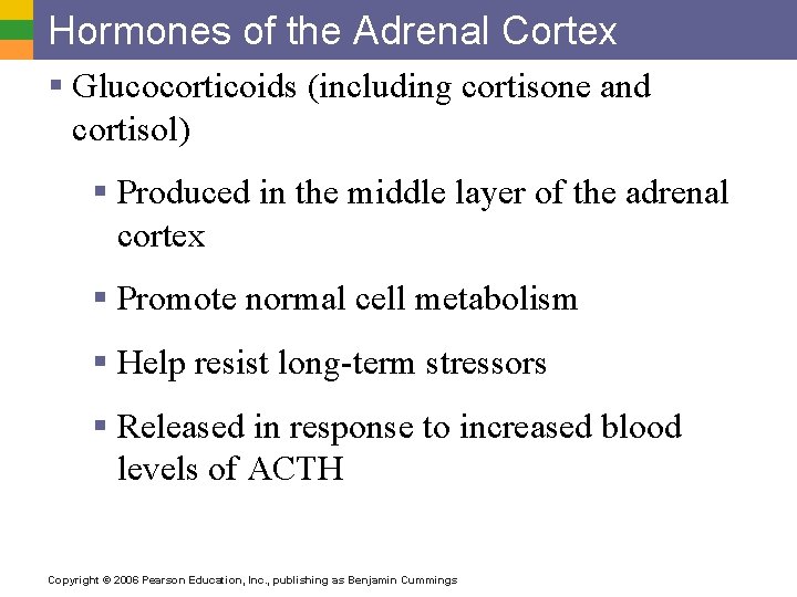Hormones of the Adrenal Cortex § Glucocorticoids (including cortisone and cortisol) § Produced in