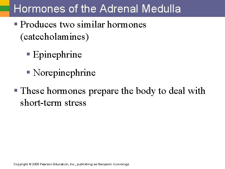Hormones of the Adrenal Medulla § Produces two similar hormones (catecholamines) § Epinephrine §