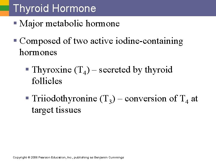 Thyroid Hormone § Major metabolic hormone § Composed of two active iodine-containing hormones §