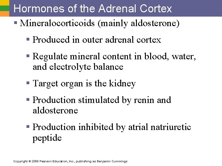 Hormones of the Adrenal Cortex § Mineralocorticoids (mainly aldosterone) § Produced in outer adrenal