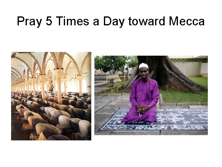 Pray 5 Times a Day toward Mecca 