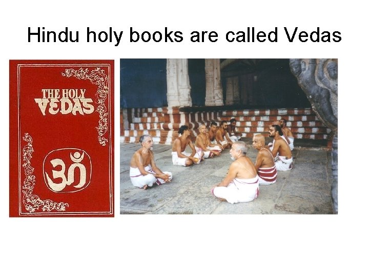 Hindu holy books are called Vedas 