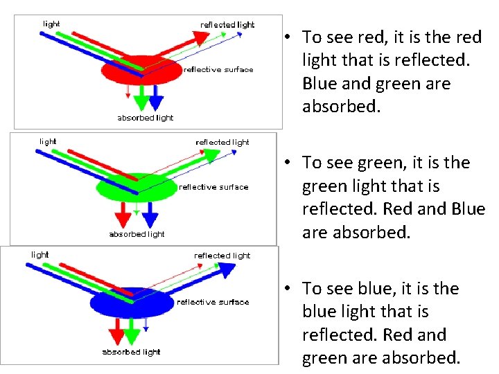  • To see red, it is the red light that is reflected. Blue