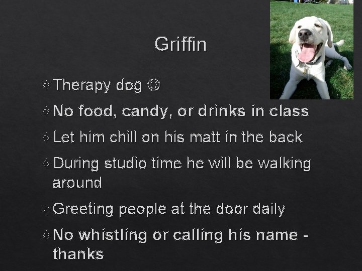 Griffin Therapy dog No food, candy, or drinks in class Let him chill on