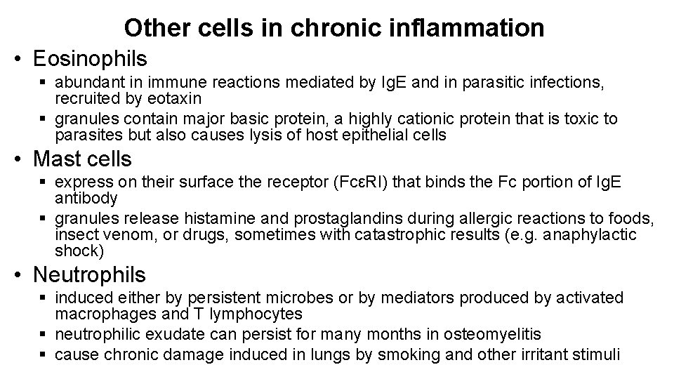 Other cells in chronic inflammation • Eosinophils § abundant in immune reactions mediated by