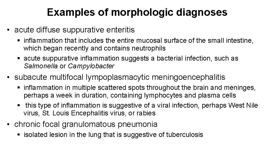 Examples of morphologic diagnoses • acute diffuse suppurative enteritis § inflammation that includes the