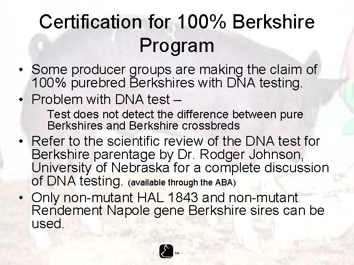 Certification for 100% Berkshire Program • Some producer groups are making the claim of