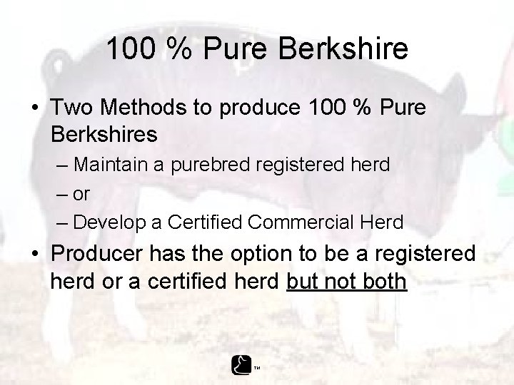100 % Pure Berkshire • Two Methods to produce 100 % Pure Berkshires –