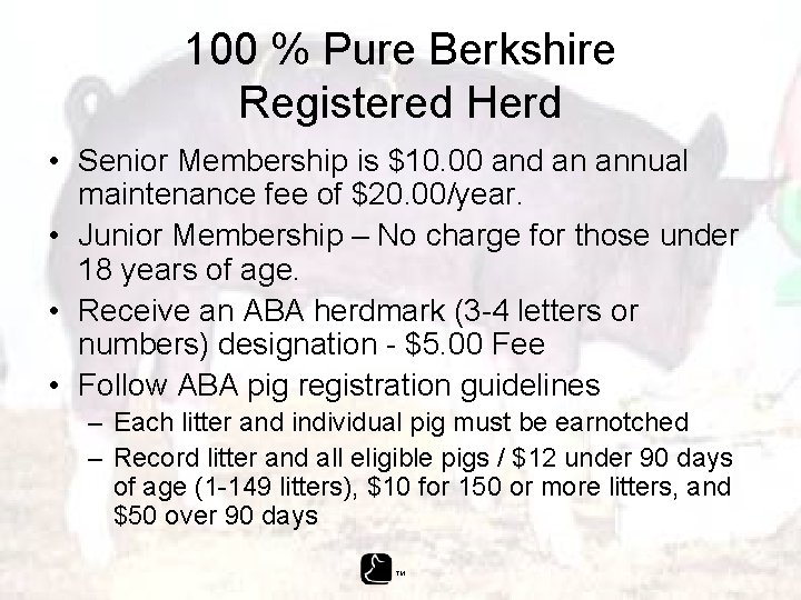 100 % Pure Berkshire Registered Herd • Senior Membership is $10. 00 and an