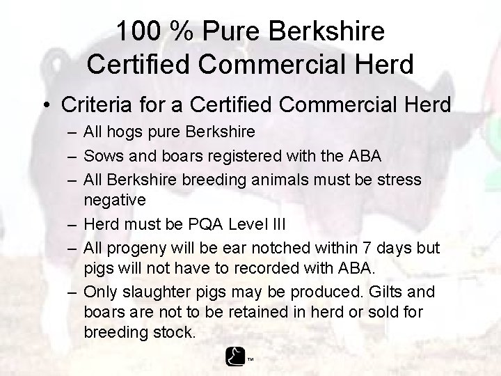 100 % Pure Berkshire Certified Commercial Herd • Criteria for a Certified Commercial Herd