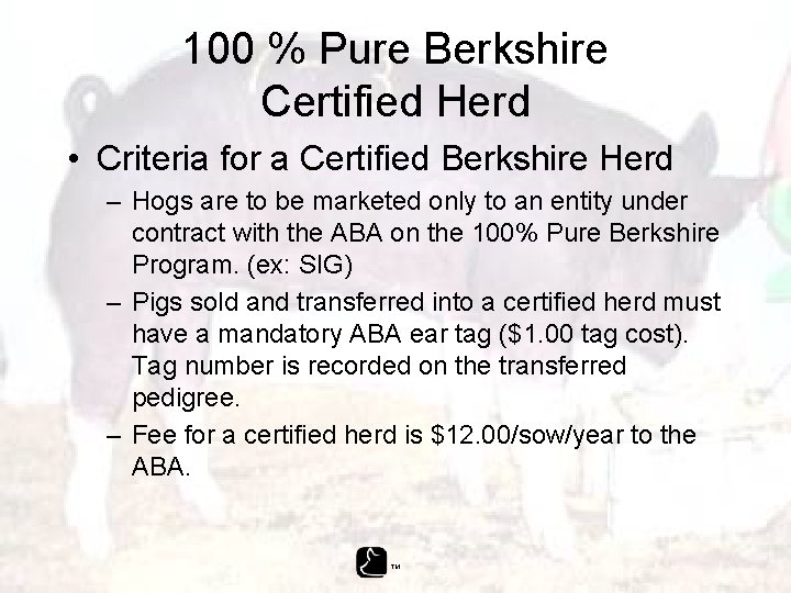 100 % Pure Berkshire Certified Herd • Criteria for a Certified Berkshire Herd –