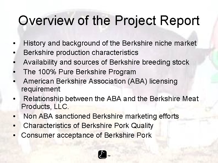 Overview of the Project Report • • • History and background of the Berkshire