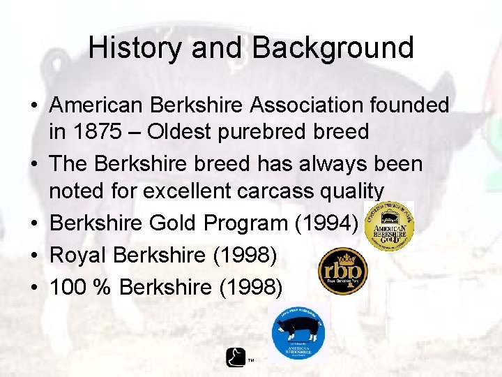 History and Background • American Berkshire Association founded in 1875 – Oldest purebred breed