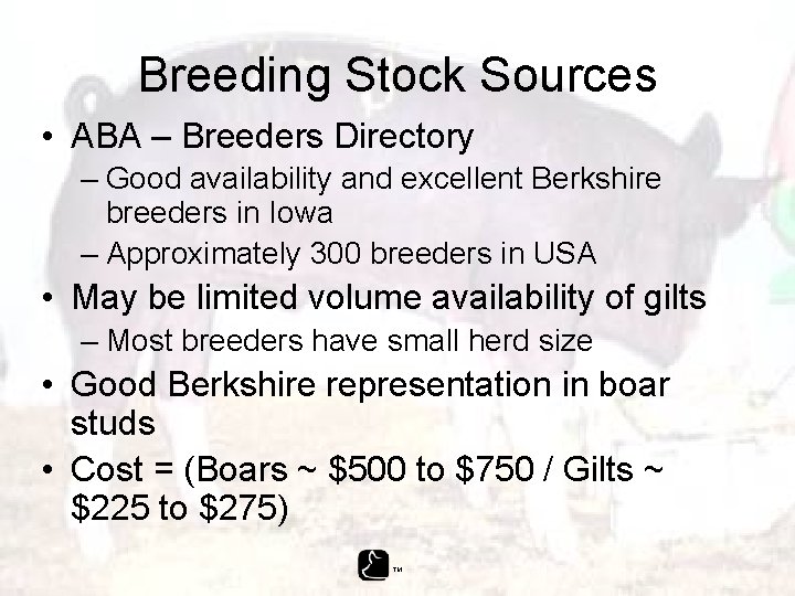 Breeding Stock Sources • ABA – Breeders Directory – Good availability and excellent Berkshire