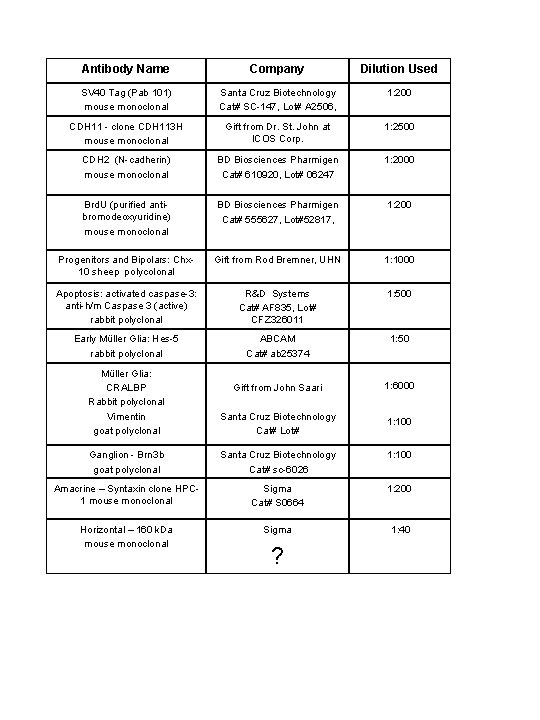 Antibody Name Company Dilution Used SV 40 Tag (Pab 101) mouse monoclonal Santa Cruz
