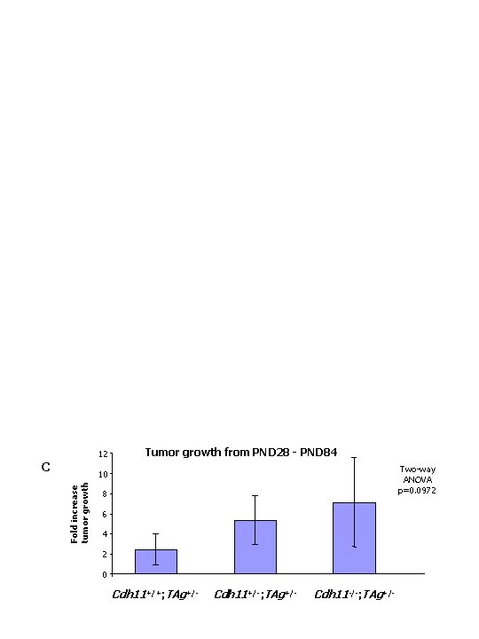 12 C Tumor growth from PND 28 - PND 84 Two-way ANOVA p=0. 0972