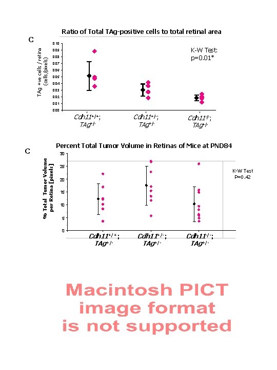 Ratio of Total TAg-positive cells to total retinal area C TAg +ve cells /