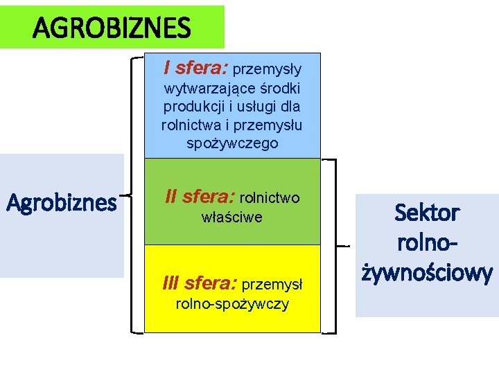 AGROBIZNES I sfera: przemysły wytwarzające środki produkcji i usługi dla rolnictwa i przemysłu spożywczego