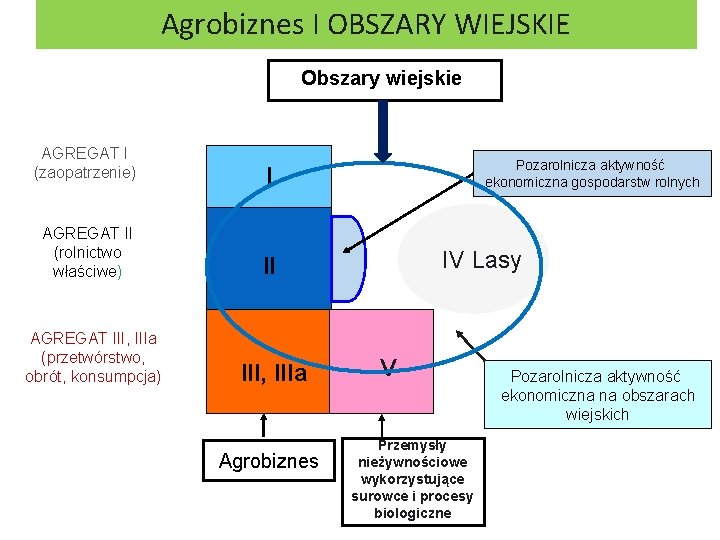 Agrobiznes I OBSZARY WIEJSKIE Obszary wiejskie AGREGAT I (zaopatrzenie) I AGREGAT II (rolnictwo właściwe)