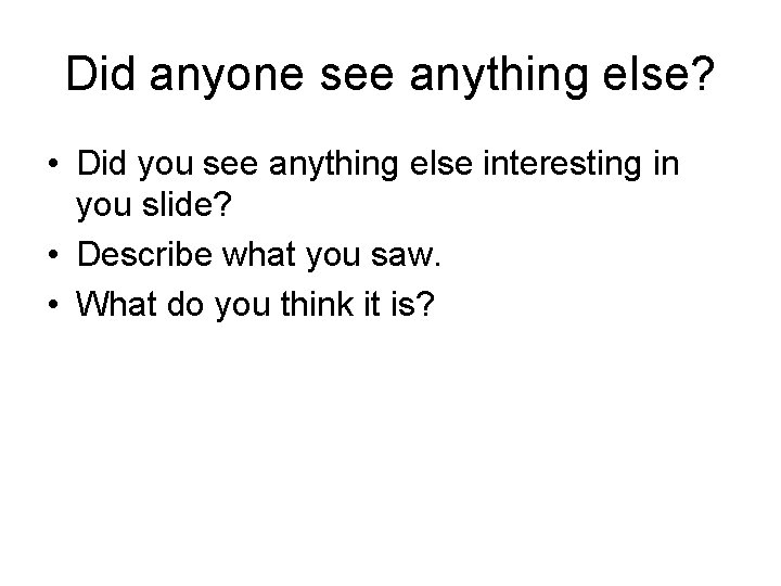 Did anyone see anything else? • Did you see anything else interesting in you