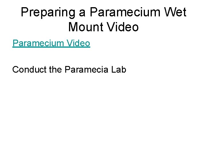 Preparing a Paramecium Wet Mount Video Paramecium Video Conduct the Paramecia Lab 