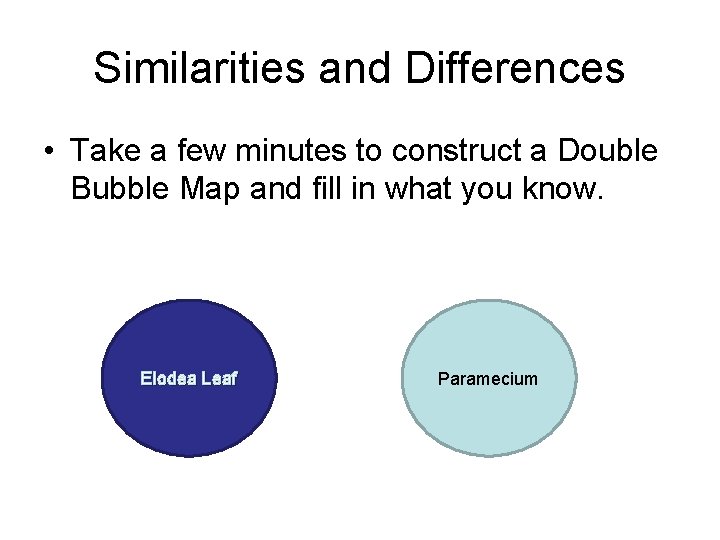 Similarities and Differences • Take a few minutes to construct a Double Bubble Map