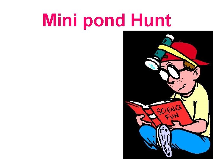 Mini pond Hunt 