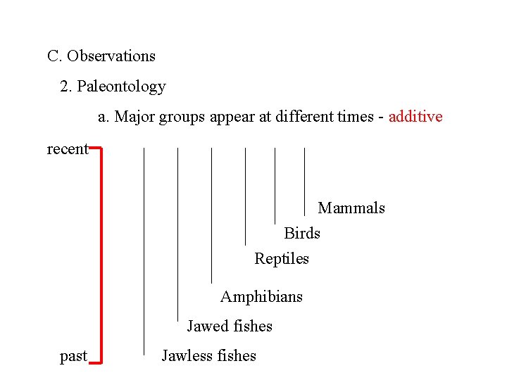 C. Observations 2. Paleontology a. Major groups appear at different times - additive recent