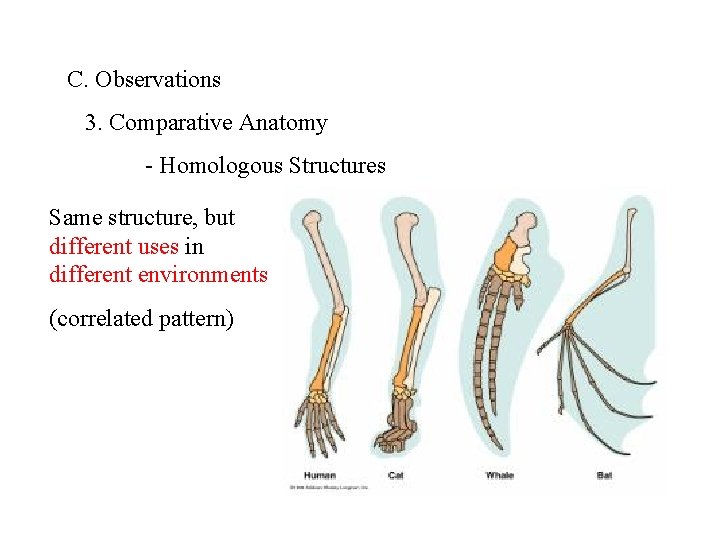 C. Observations 3. Comparative Anatomy - Homologous Structures Same structure, but different uses in