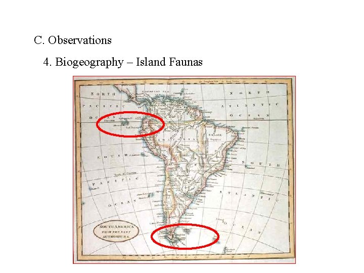 C. Observations 4. Biogeography – Island Faunas 