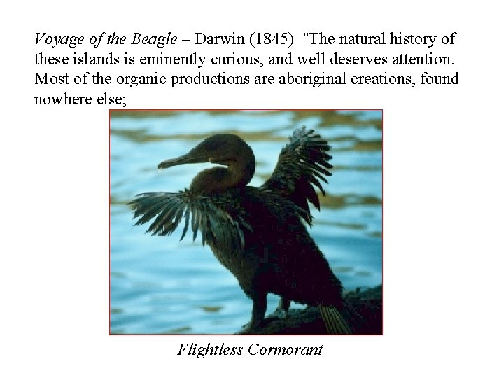 Voyage of the Beagle – Darwin (1845) "The natural history of these islands is