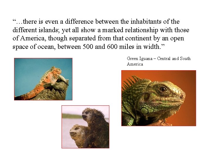 “…there is even a difference between the inhabitants of the different islands; yet all