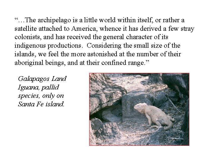 “…The archipelago is a little world within itself, or rather a satellite attached to