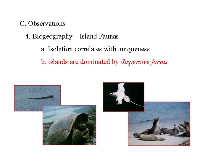 C. Observations 4. Biogeography – Island Faunas a. Isolation correlates with uniqueness b. islands