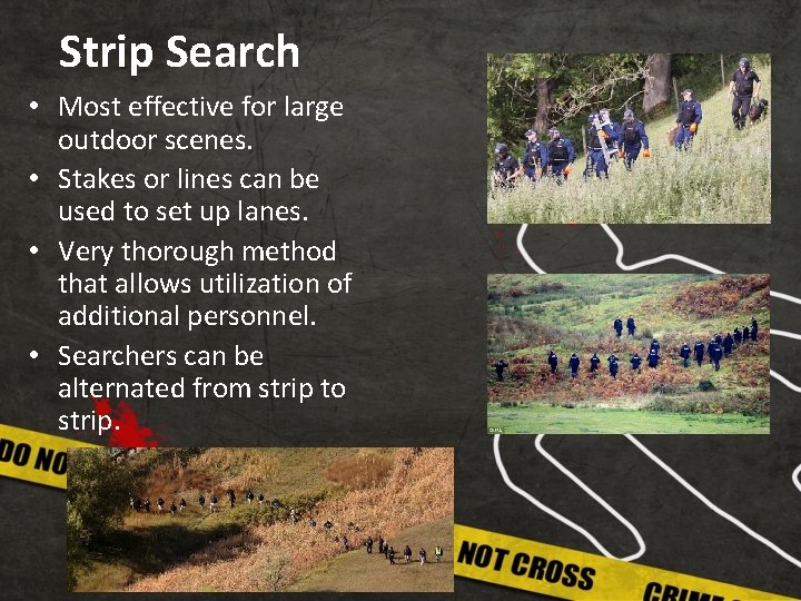 Strip Search • Most effective for large outdoor scenes. • Stakes or lines can