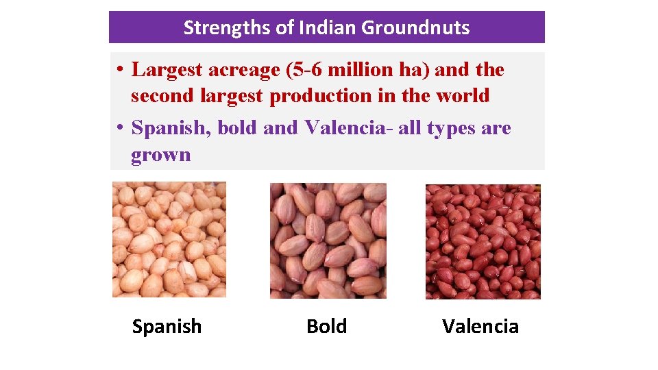 Strengths of Indian Groundnuts • Largest acreage (5 6 million ha) and the second