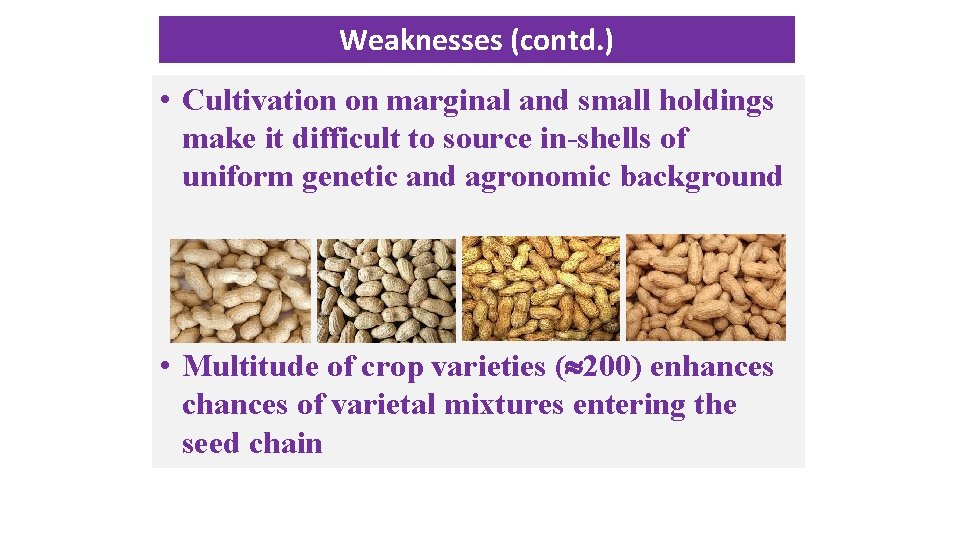 Weaknesses (contd. ) • Cultivation on marginal and small holdings make it difficult to