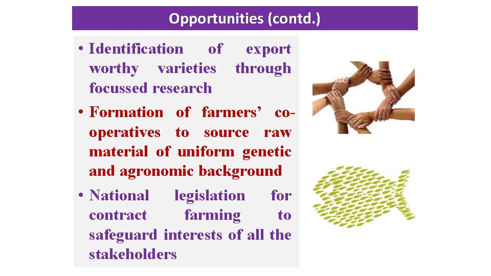 Opportunities (contd. ) • Identification of export worthy varieties through focussed research • Formation