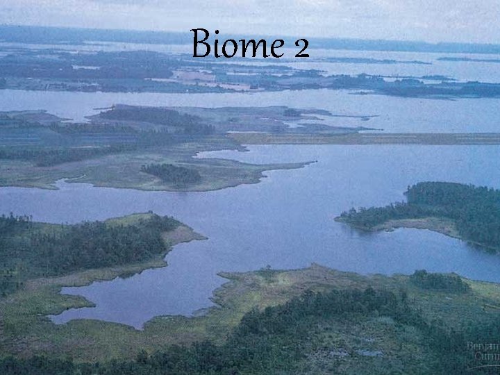 Biome 2 