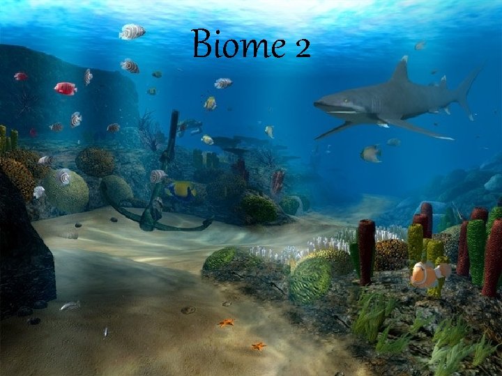 Biome 2 