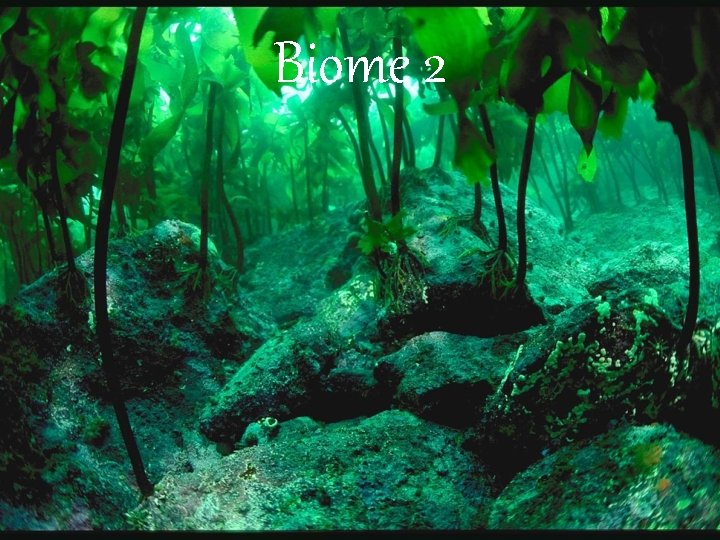 Biome 2 