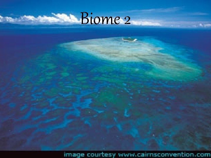 Biome 2 
