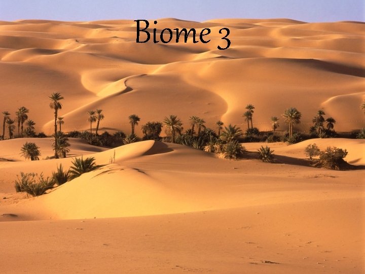 Biome 3 