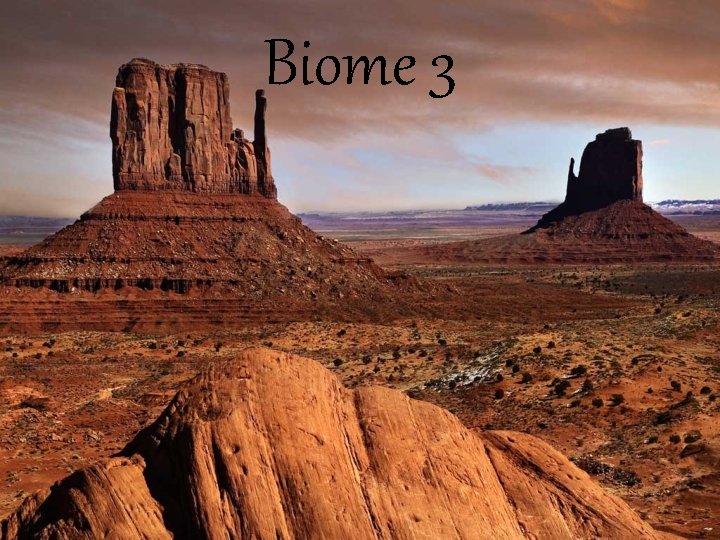 Biome 3 