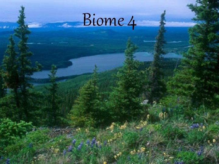 Introduction To Biomes Biomes are classified according to