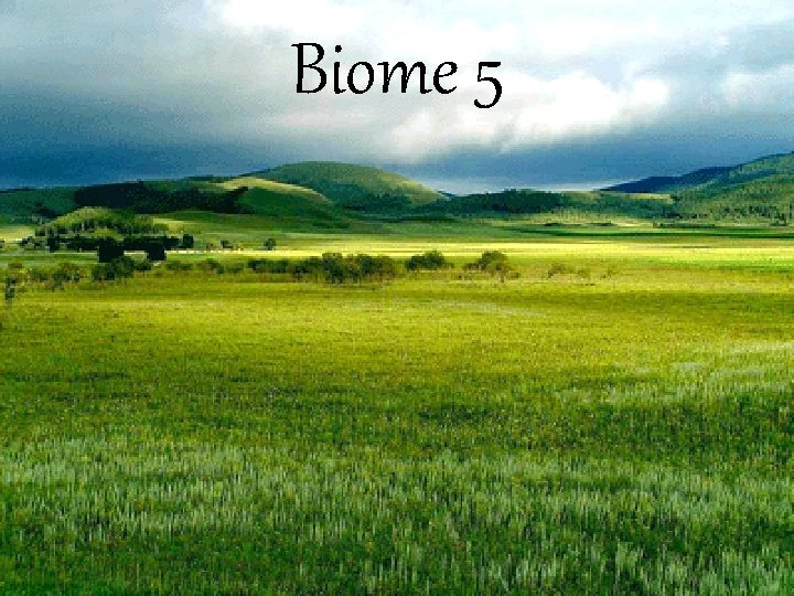 Biome 5 