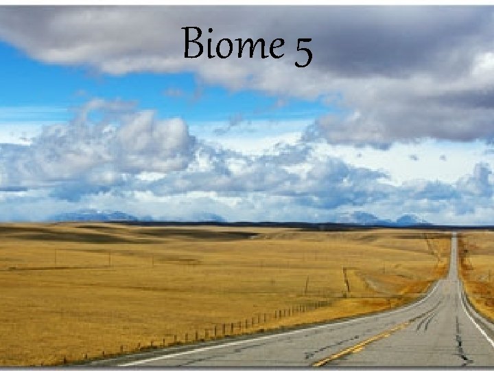 Biome 5 