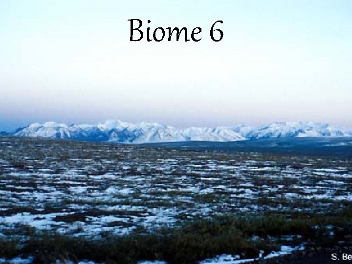 Biome 6 