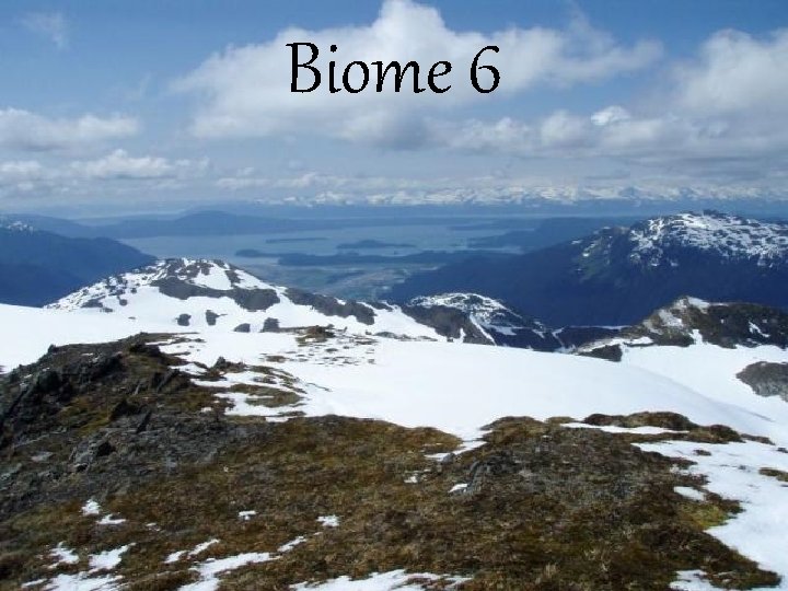 Biome 6 